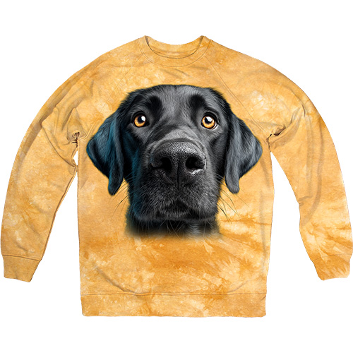  - Black Labrador Face