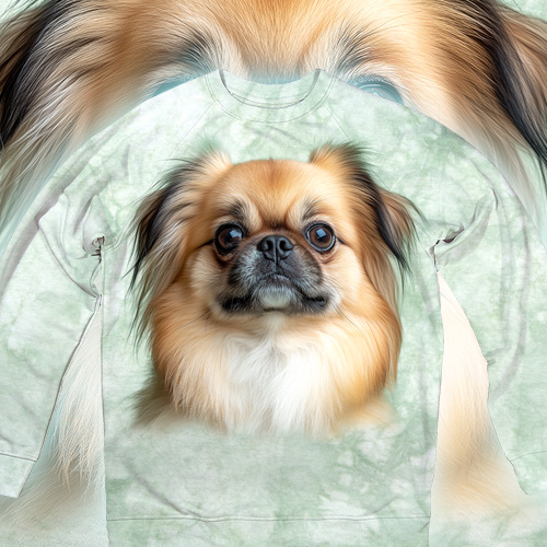 Dreaming Pekingese Face - 