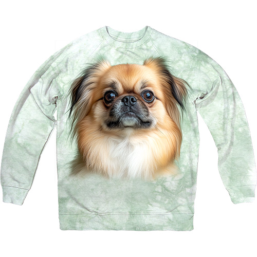  - Dreaming Pekingese Face - 