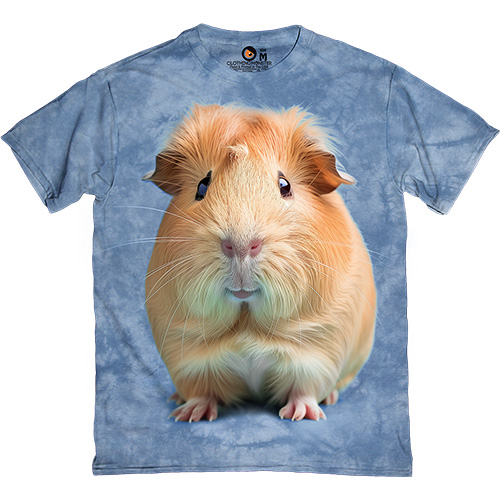  - Guinea Pig