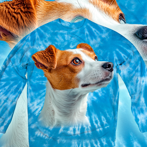 Jack Russell Curious