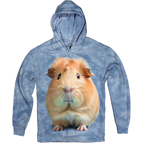  - Guinea Pig