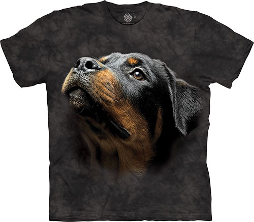  The Mountain - Angel Face Rottie - 