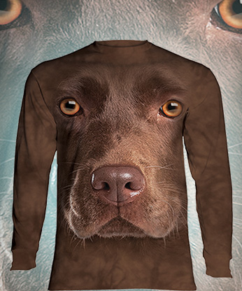 Chocolate Lab Face - 