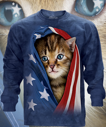 Patriotic Kitten - 