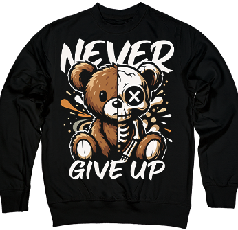 Never Give Up  Teddy Edition