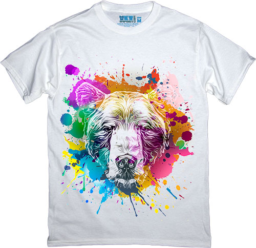  - Colorful Bear