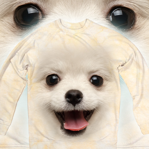 Толстовка - Pomeranian Spitz Dog