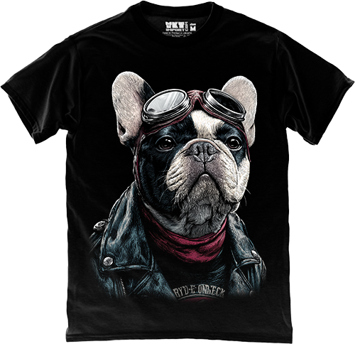 �������� - �������-������