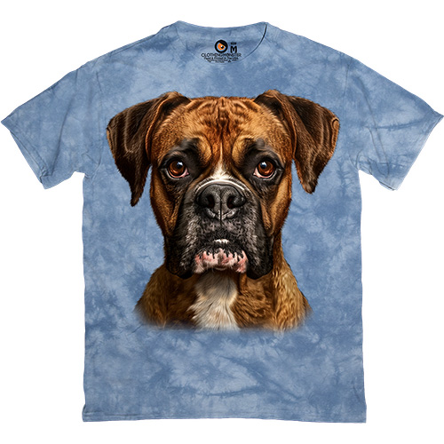  - Boxer