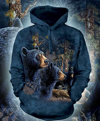 Find 13 Black Bears