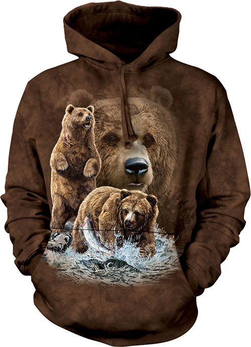   The Mountain - Find 10 Brown Bears