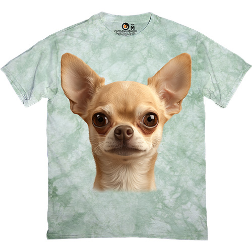  - Chihuahua