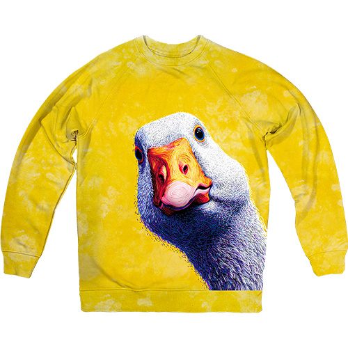  - Curious Goose