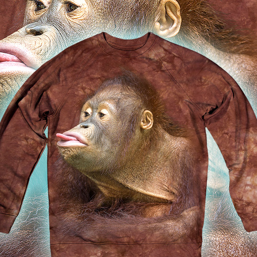 Orangutan Blowing a Raspberry