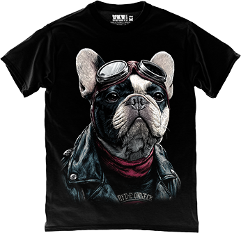 �������-������