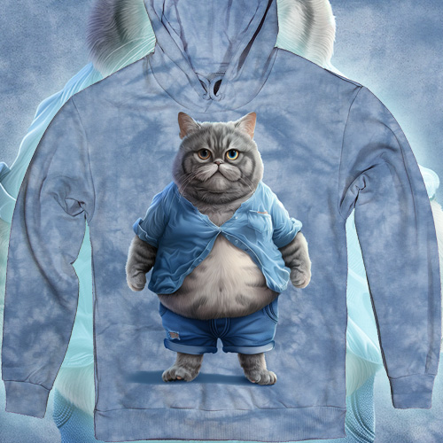 Cat with Belly in Blue