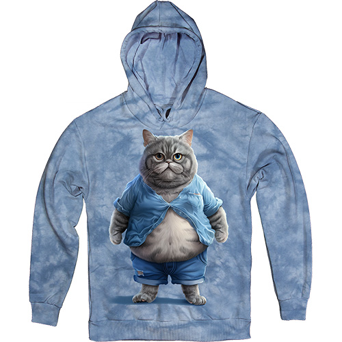  - Cat with Belly in Blue