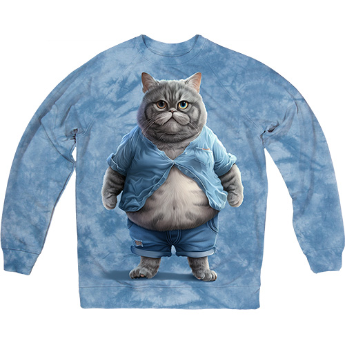  - Cat with Belly in Blue