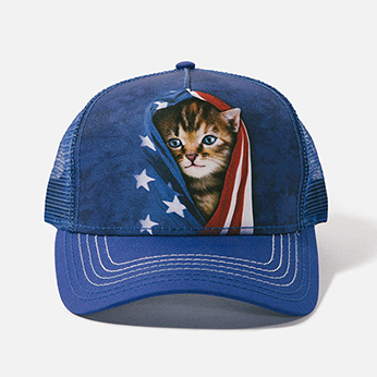 Patriotic Kitten - 