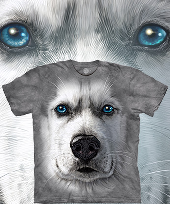 Siberian Husky Grey -  