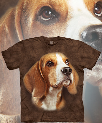 Beagle Portrait - 