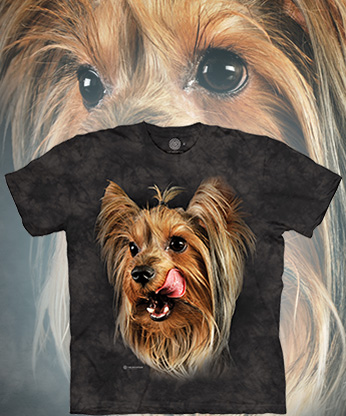 Yorkshire Terrier Portrait -  '