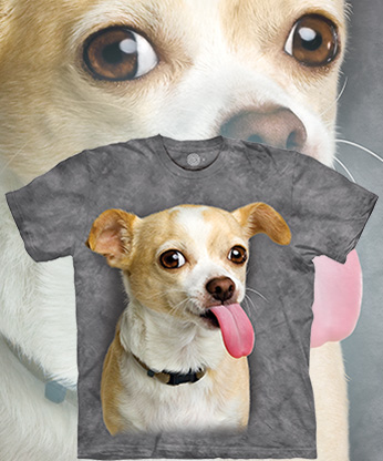 Chihuahua Tongue - 
