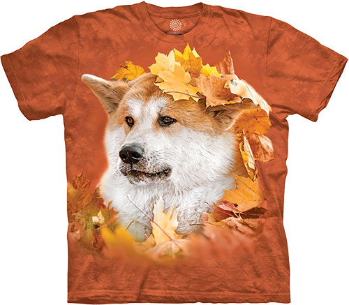  The Mountain - Akita In The Leaves - -