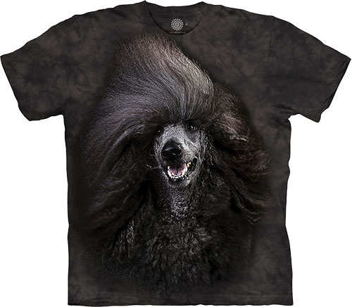 The Mountain - Long Hair Black Poodle - 