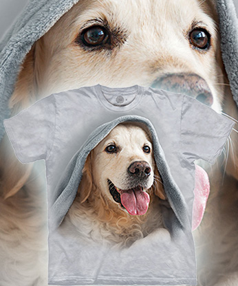 Blanket Dog - 