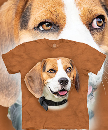 Goofy Beagle - 