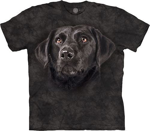  The Mountain - Soulful Black Lab - 