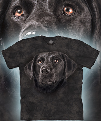 Soulful Black Lab - 