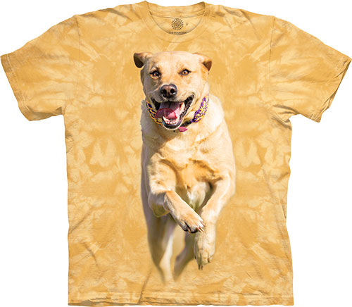  The Mountain - Running Yellow Dog - 