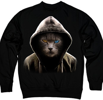 Кіт у Капюшоні