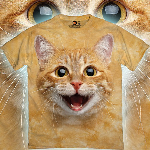 Happy Cat Smile
