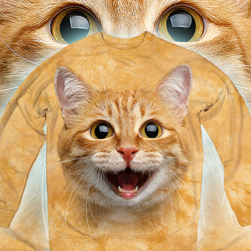 Happy Cat Smile