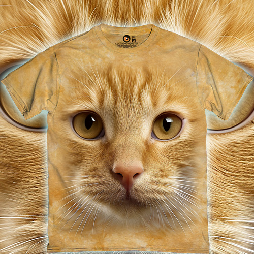 Cute Cat Face