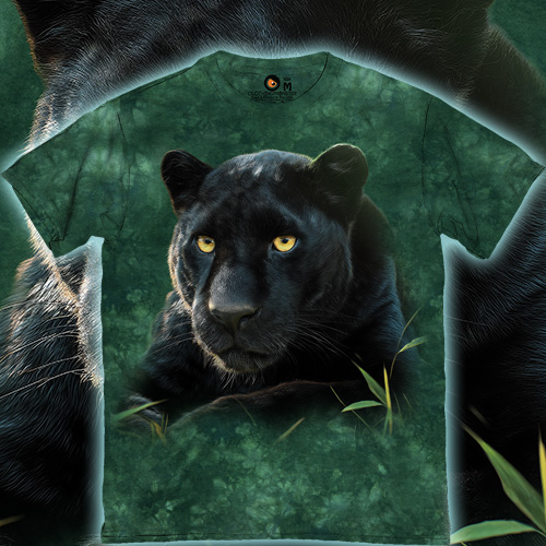 Тінь Саванни