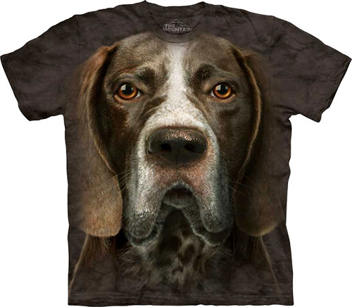 The Mountain - German Shorthaired Pointer Face