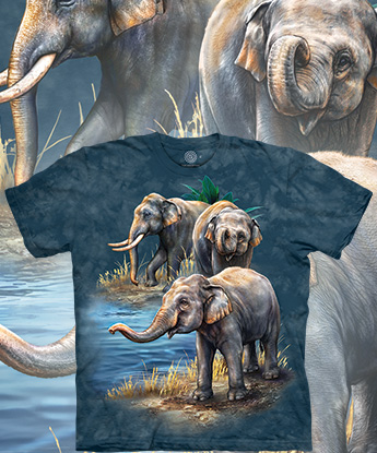  The Mountain - Asian Elephant Collage