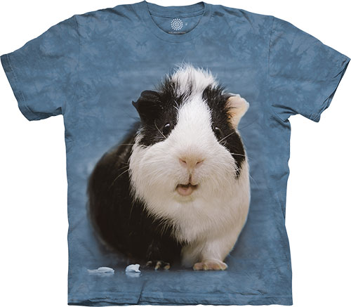  The Mountain - Surprised Guinea Pig -  