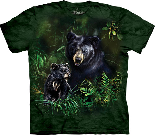 Black Bear And Cub