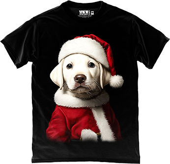 Санта-Щасливчик