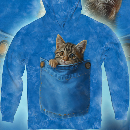 Кошеня в Кишені