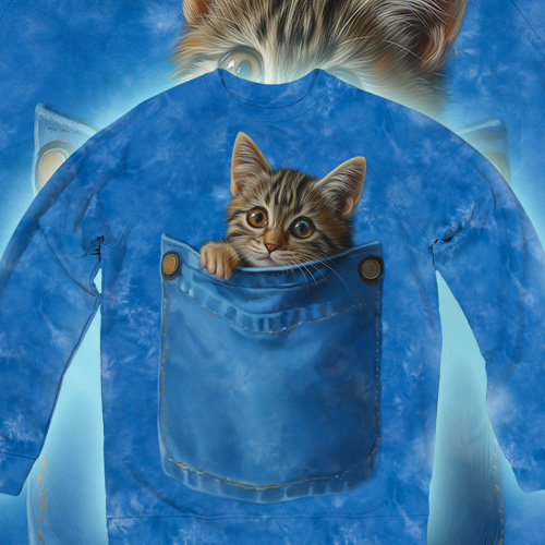 Кошеня в Кишені