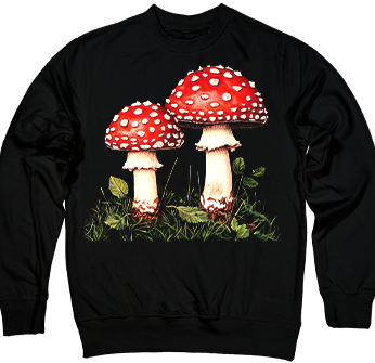 Казковий Грибочок