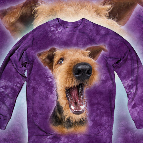 Excited Airedale Terrier в фиолетовом - Эрдельтерьер
