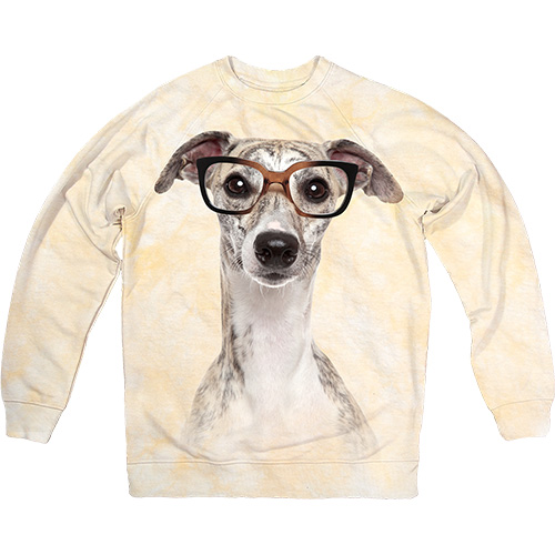 Толстовка - Dog in Glasses